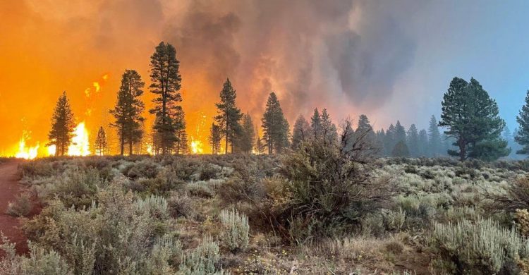 Oregon Bootleg Fire: Evacuations as largest US fire burns 300,000 acres
