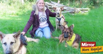 Disabled dogs with horrific injuries from abuse now fighting fit and need homes