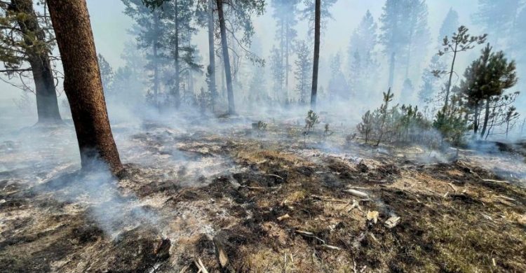 Landmark UN report to assess climate extremes, give clear projections